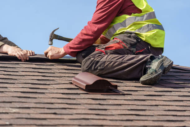 Best Roof Gutter Cleaning  in Pleasanton, KS