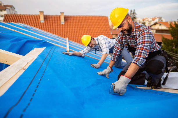 Best Best Roofing Contractors  in Pleasanton, KS