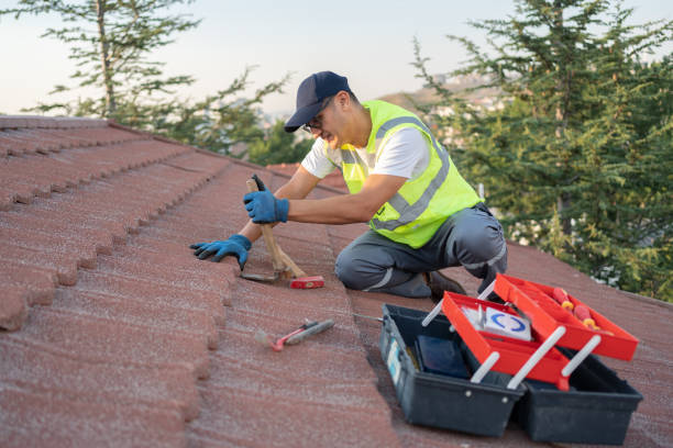 Best Commercial Roofing Services  in Pleasanton, KS