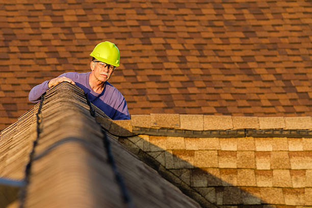 Best Roof Leak Repair  in Pleasanton, KS